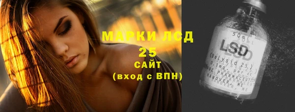 мяу мяу мука Дмитриев