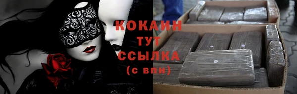 мяу мяу мука Дмитриев