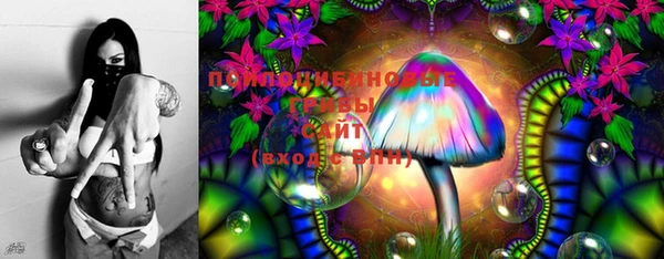 мяу мяу мука Дмитриев