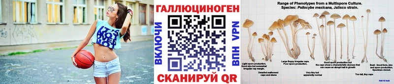 Купить  Полевской  Галлюциногенные грибы мицелий 