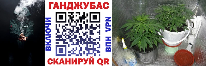 Купить  Полевской  Шишки марихуана гибрид 